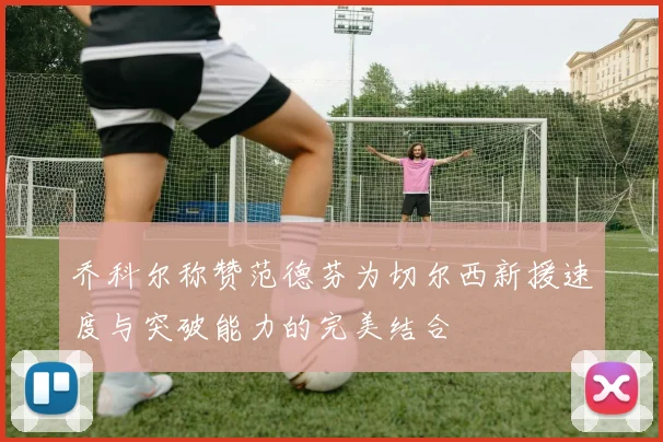 乔科尔称赞范德芬为切尔西新援速度与突破能力的完美结合